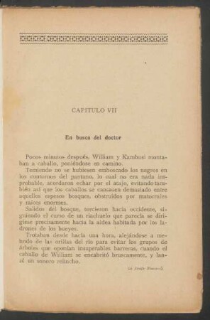 Capítulo VII - En busca del doctor