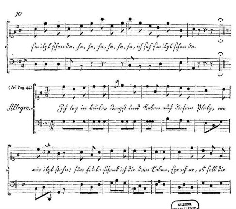 (Ad Pag. 44)
