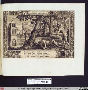 Tentatio daemonis, et divini solatii refocillatio