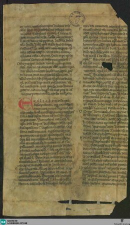 Homiliensammlung, Fragment - Cod. Karlsruhe 1406