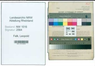 Entnazifizierung Leopold Falk , geb. 04.11.1901 ()