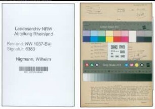 Entnazifizierung Wilhelm Nigmann , geb. 28.09.1889 ()