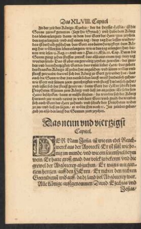 Das neun und viertzigst Capitel.