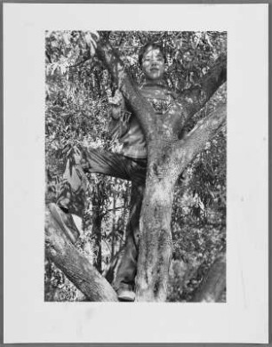 Der Sohn auf einem Baum, Familie Tandemir in Izmir