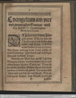 Evangelium am vier und zwantzigsten Sontage, nach dem Fest der H. Dreyfaltigkeit, Matth. am 9. Capittel