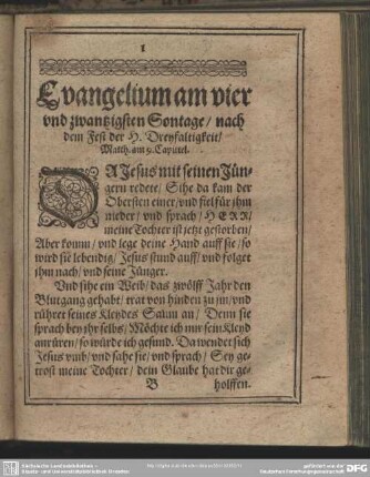Evangelium am vier und zwantzigsten Sontage, nach dem Fest der H. Dreyfaltigkeit, Matth. am 9. Capittel
