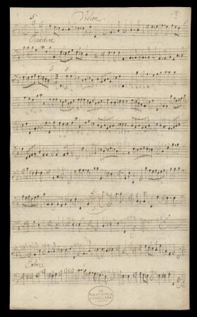 Violon.