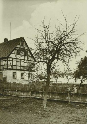 Pflanzenkunde