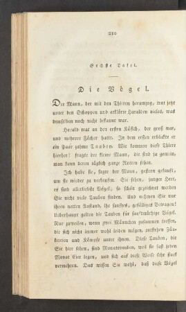 Sechste Tafel.