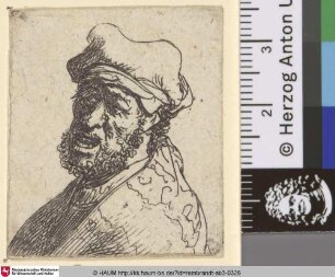 [Brustbild eines schreienden Mannes im Dreiviertelprofil; Man Crying Out, Three Quarters Left: Bust; Vieillard à barbe courte]