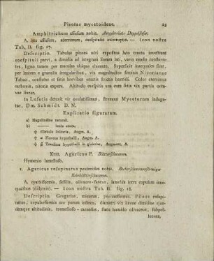 XIII. Agaricus P.
