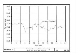 Temperaturverlauf über einen Tag Kuh Nr. 526 am 19. November