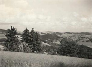 Müglitztal und Wilisch. Blick vom Lerchenhübel an der Straße Bärenstein - Altenberg