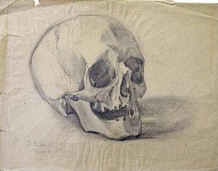 Schädel III, Studie
