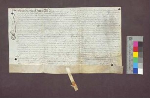 Hans Negeli zu Weil verkauft ein Rebstück an das Basler Domstift.