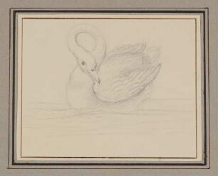 Schwan [aus der "geblümten Kassette"]