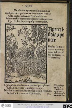 Quisquis forte palam mentis concaepta revelat, ante oculos volucrum retia tensa locat...