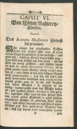 Caput VI. Von schönen Mahlerey-Künsten.