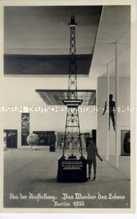 Blick in die Ausstellung "Das Wunder des Lebens", Berlin 1935