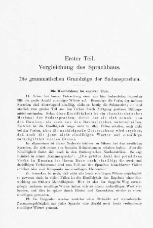Die grammatischen Grundzüge der Sudansprachen.