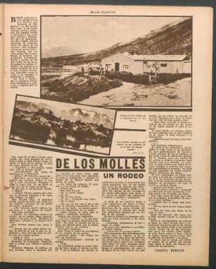 De los molles : Un rodeo