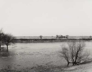 Mühlberg an der Elbe. Alte Elbe, Blick vom Deich nach Südwesten