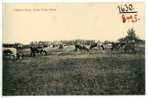 Walla Walla. Tallmans Dairy, Walla Walla, Wash.
