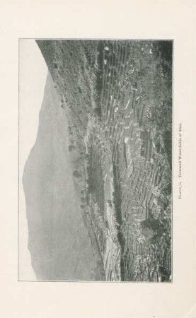 Plate 11. Terraced water-fields of rice