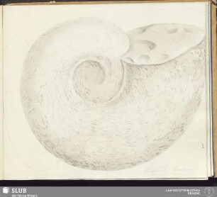 358