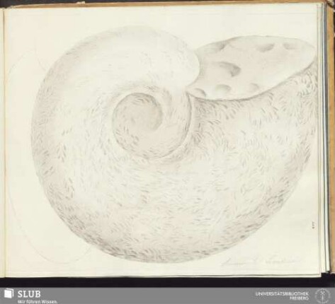 358