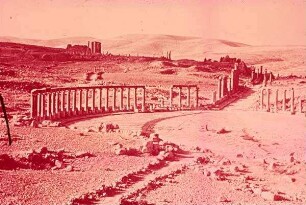 Jerash. Dscherasch [Gerasa] Forum