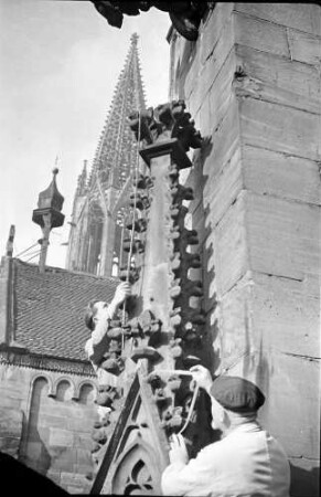 Freiburg: Vermessungen am Münster