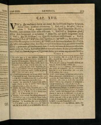 913-916, Cap. XVII
