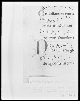Graduale — Initiale N(os autem), Folio 43verso