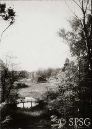 Branitz, Park.