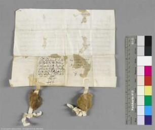 (Gebrüder Burchard und Gunzelin von Wanzleben)
