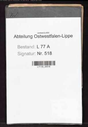 Revision der Geschäftsführung des Amtes Brake
