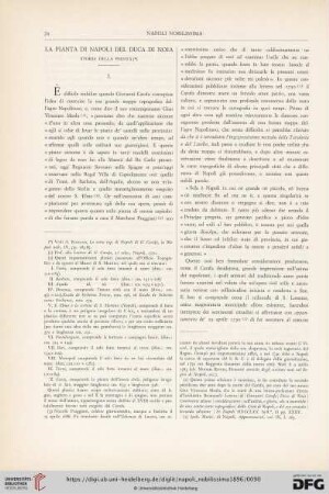 5: La pianta di napoli del duca di noia