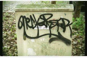 neCkaRSTaDT