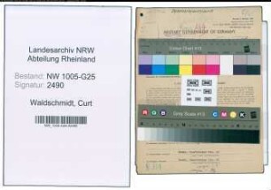 Entnazifizierung Curt Waldschmidt , geb. 17.08.1878 (Ingenieur)