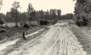 Spreewaldlandschaft bei Burg : Błótowska krajina wokoło Bórkow