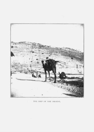 The Ship of the Desert