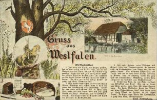 Gruss aus Westfalen. Westfalenlied.