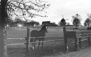 Großhennersdorf-Neundorf. Günther-Mühle, Bockmühle und Gehöft
