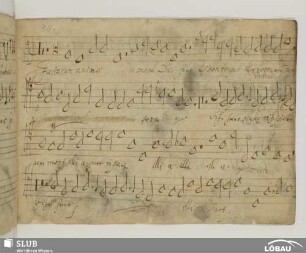 [36.] Anonymus: Justorum animae