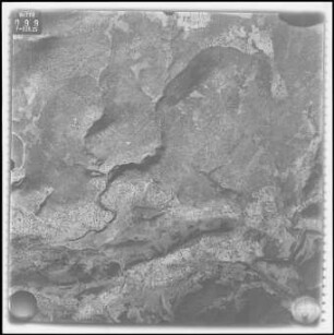 Aufnahme 015 - Ostküste Argolis – Petrothalassa – Kounoupi