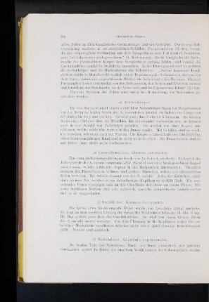 Nebenniere, Glandula suprarenalis.