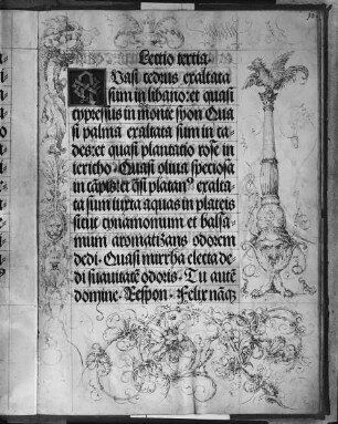 Gebetbuch Kaiser Maximilians I. — Hahn auf Säule, Rankengezweig, Folio 53recto