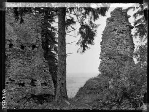 Ruine Eisenstein bei Zell
