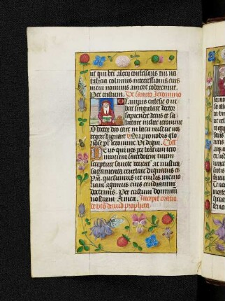 Bordürenseite mit Streumusterbordüre und Textanfangsminiatur: Hieronymus